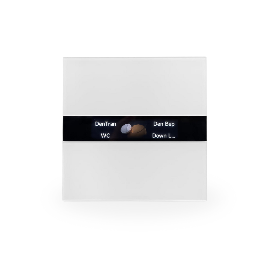 Display Switch V1 EU