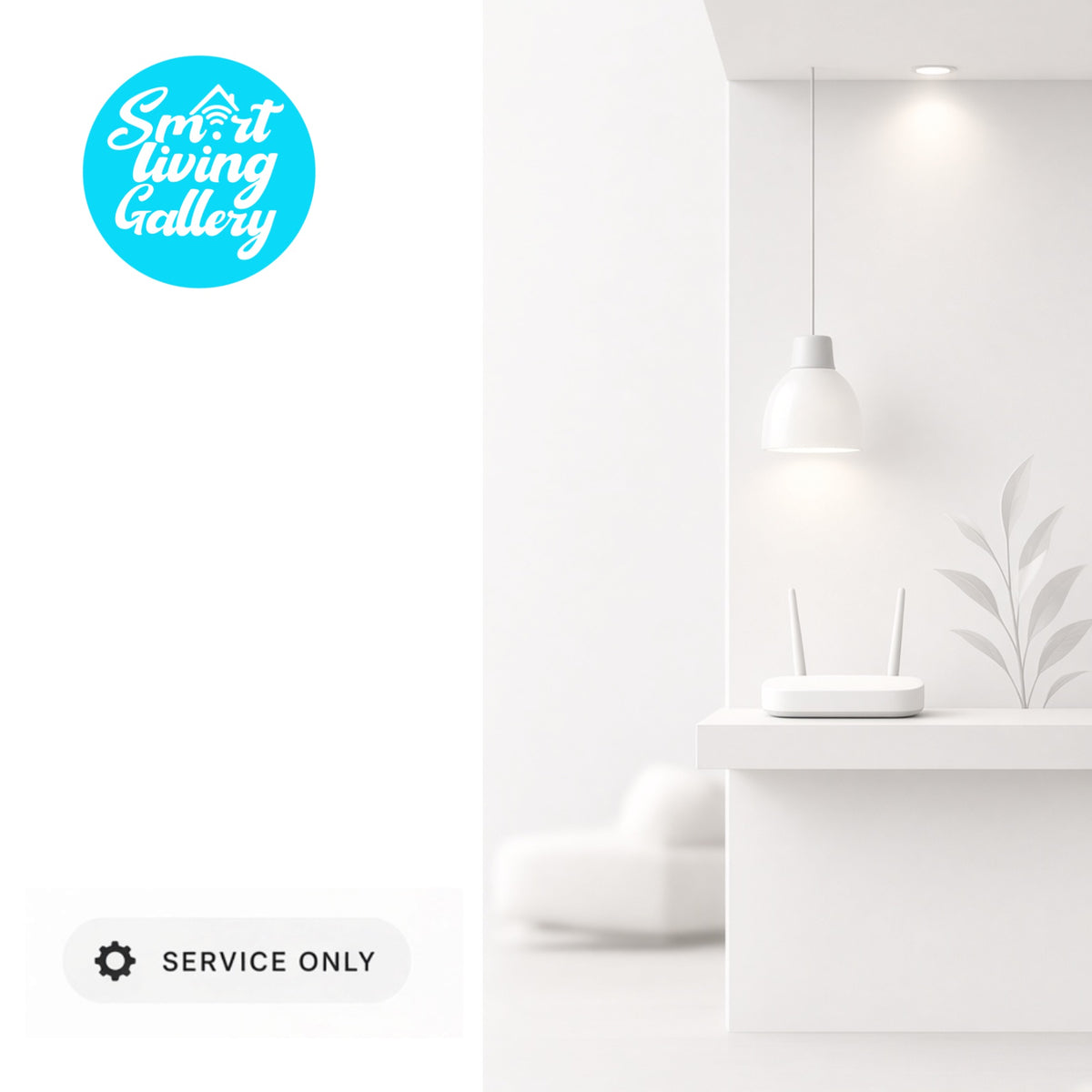 Service: Relocate/Loose Light Point