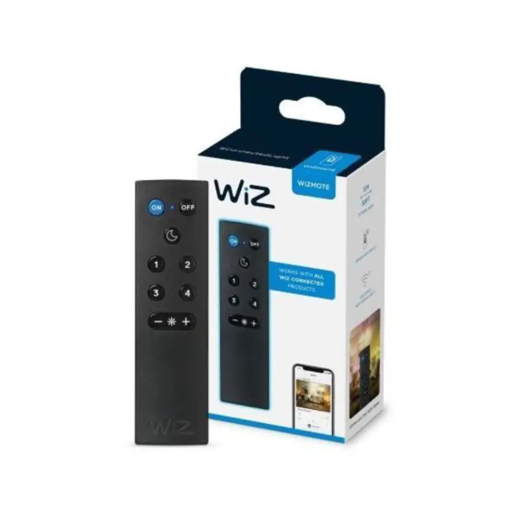 Remote Control w/batteries