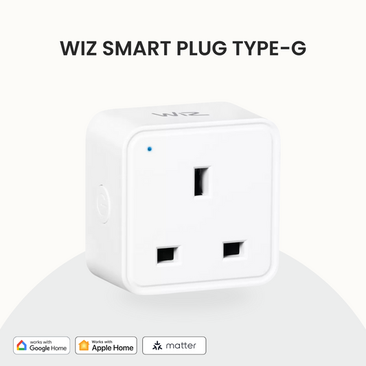 WiZ Smart Plug Type-G