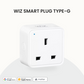 WiZ Smart Plug Type-G