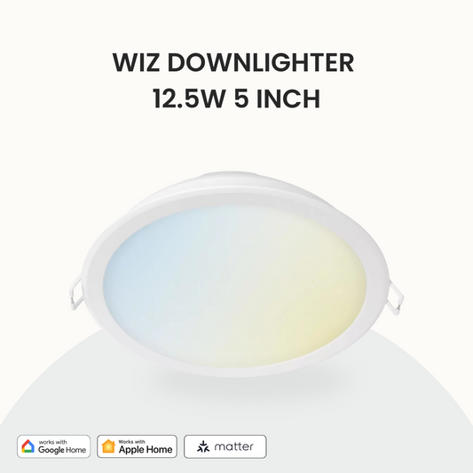 Wiz Downlight