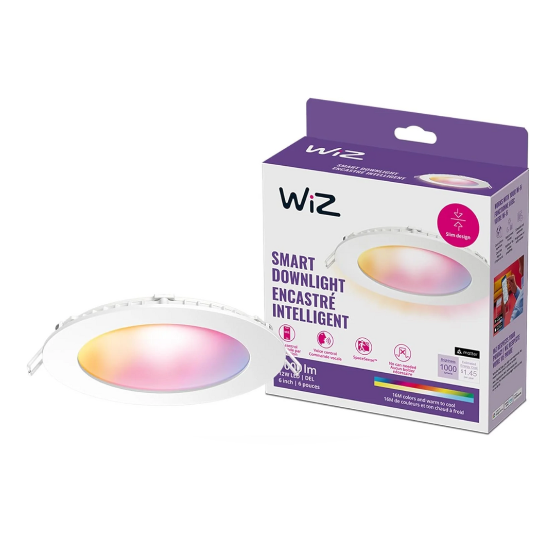 Wiz Downlight