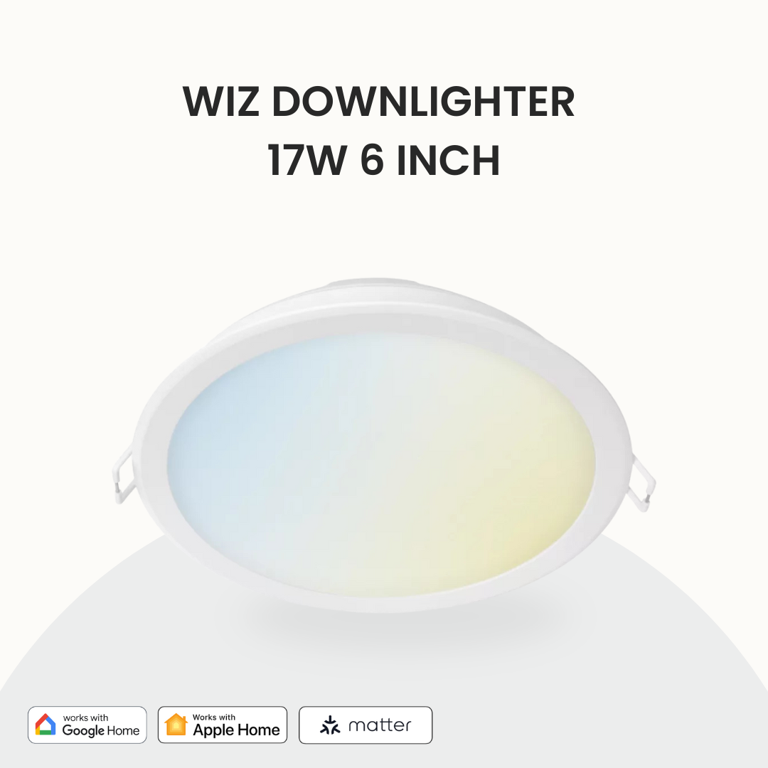 Wiz Downlight