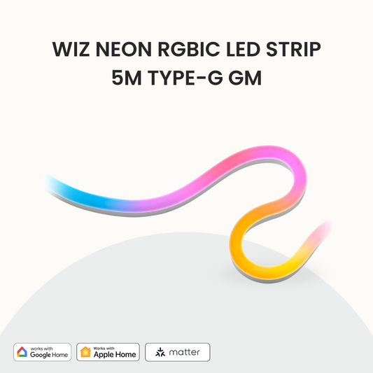 Wiz Neon RGBIC LED strip 5m Type-G GM