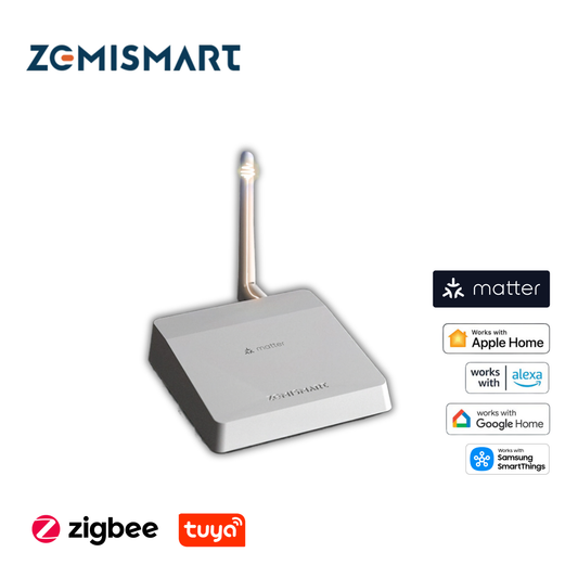 Zemismart Matter Hub M6