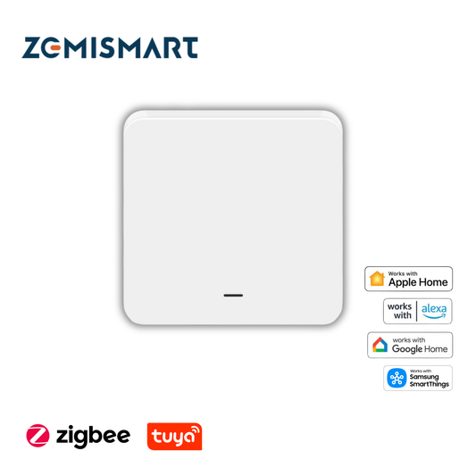 Zemismart (Non-neutral) Smart Touch Screen Switch ZL-RL