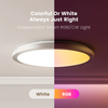 YEELIGHT Jupiter D Ceiling Light
